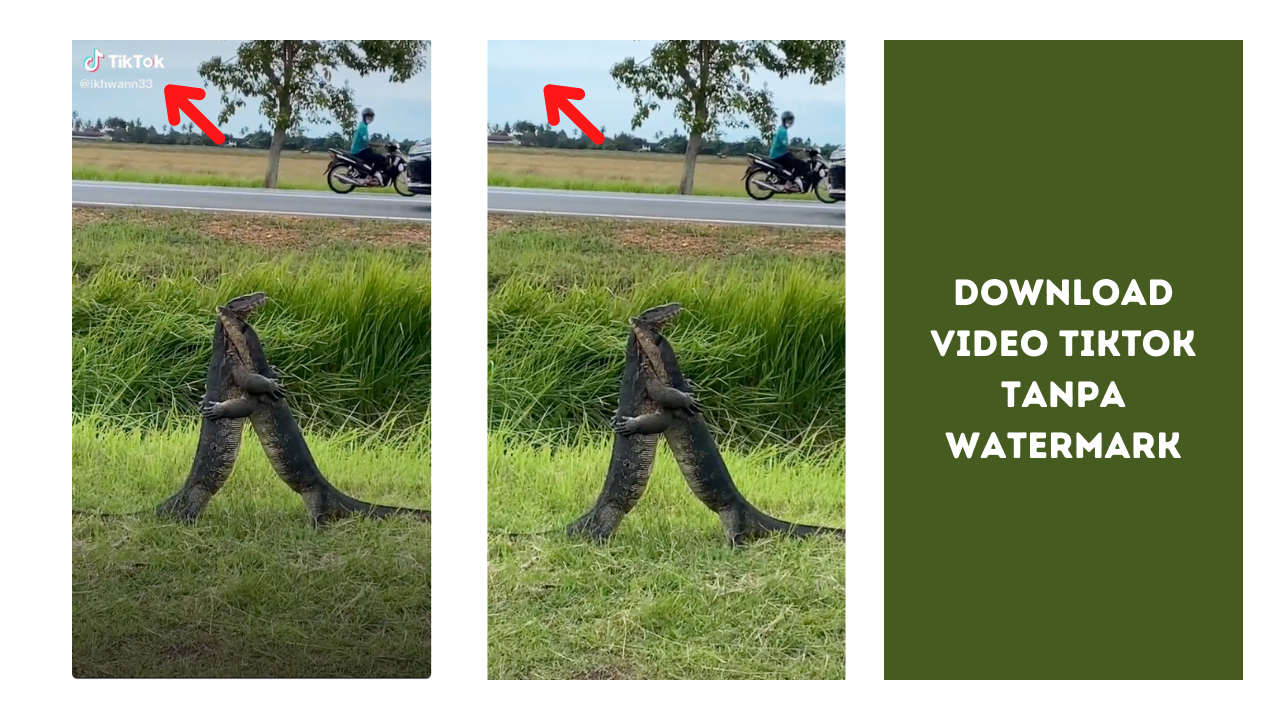 Download Tiktok Video tanpa watermark