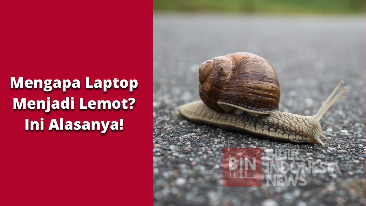 Mengapa Laptop Menjadi Lemot? Ini Alasanya!